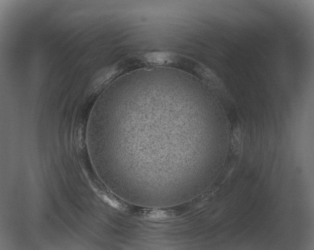 X0000081420330200701121242