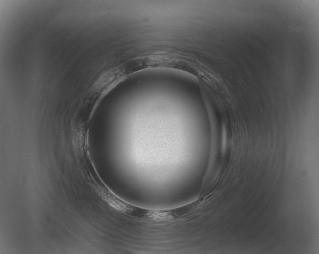 X0000081420333200701121242