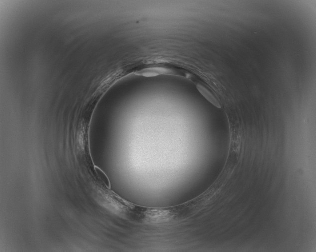 X0000081420334200701121242