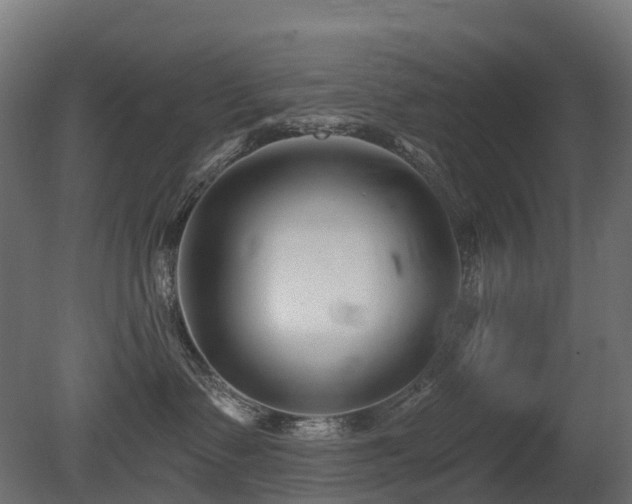 X0000081420335200701121242