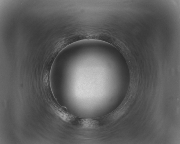 X0000081420336200701121242