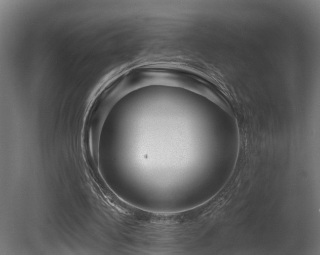 X0000081420340200701121241