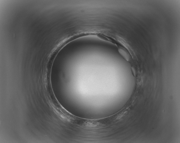 X0000081420346200701121241