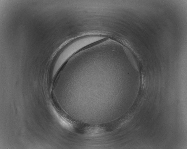 X0000081420348200701121241