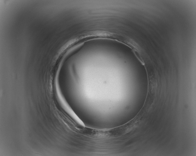 X0000081420350200701121242