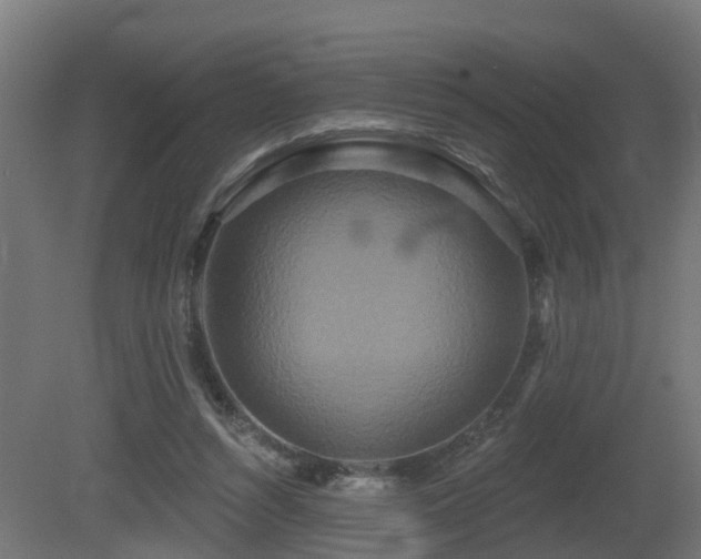 X0000081420352200701121242
