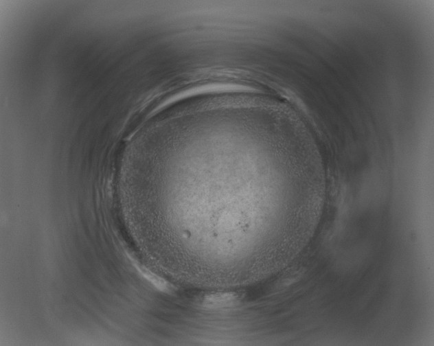 X0000081420357200701121242