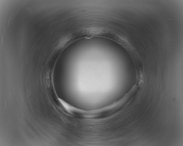 X0000081420360200701121242