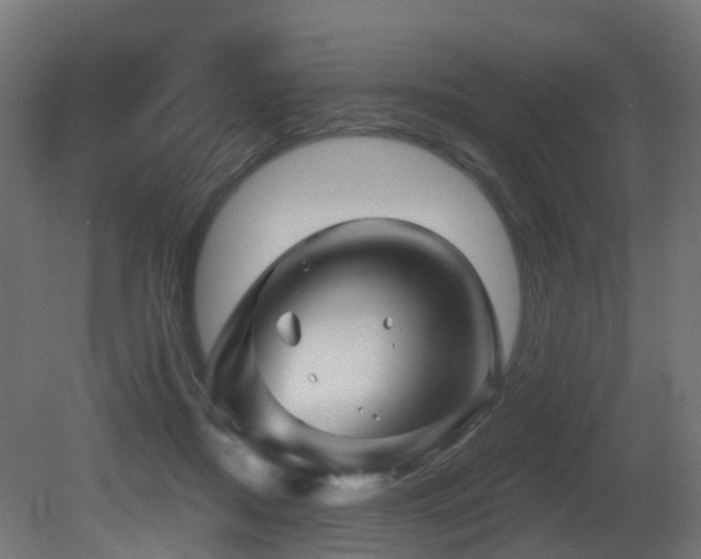 X0000081420362200701121242