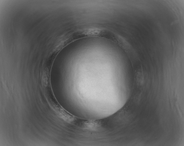 X0000081420370200701121242