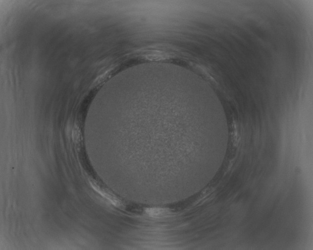 X0000081420371200701121242