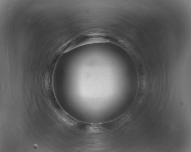 X0000081420372200701121242