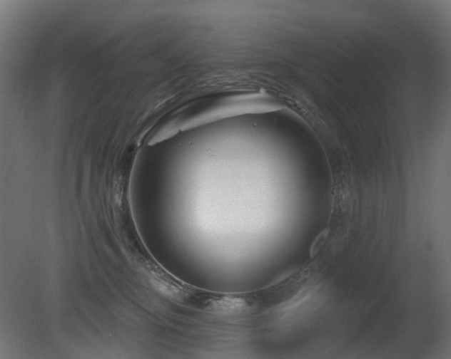 X0000081420374200701121242