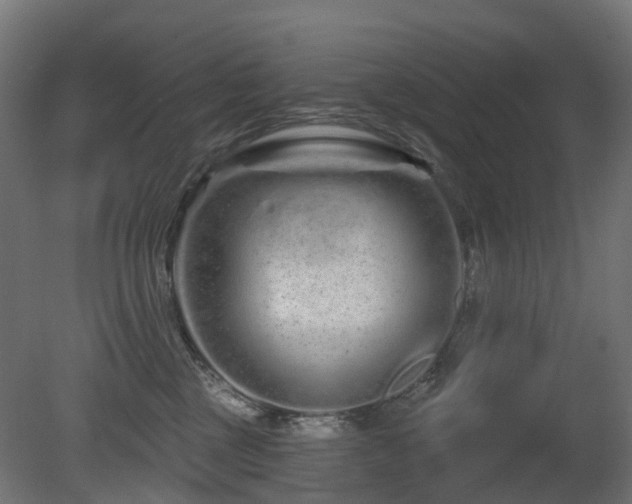 X0000081420377200701121242