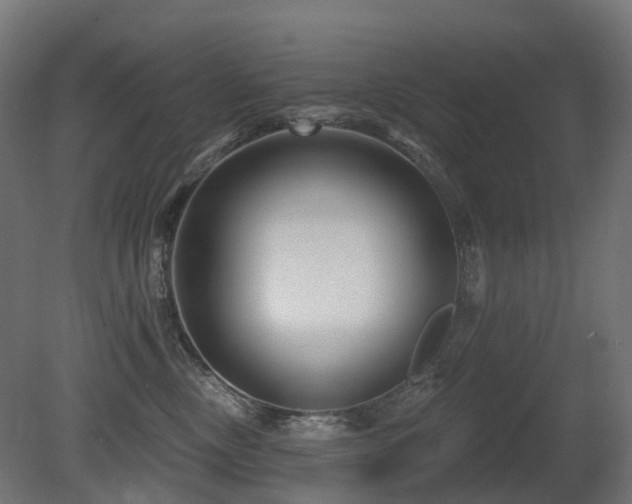X0000081420378200701121242