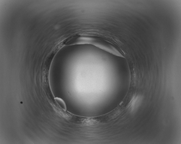 X0000081420379200701121242