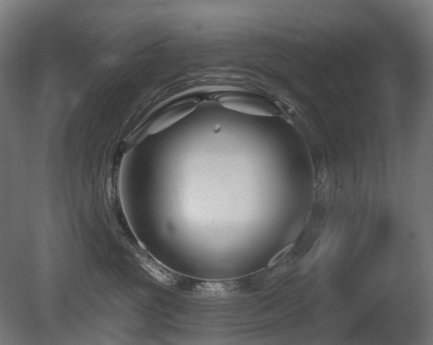 X0000081420381200701121242
