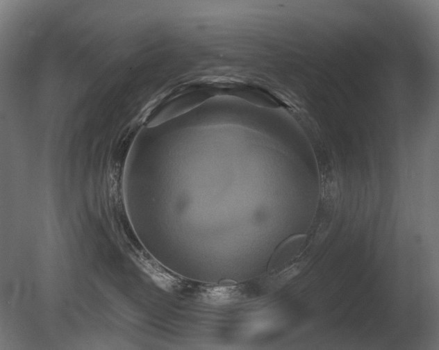 X0000081420382200701121242