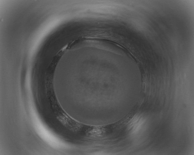 X0000081420383200701121242