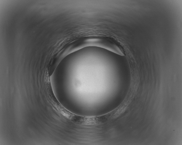 X0000081420384200701121242