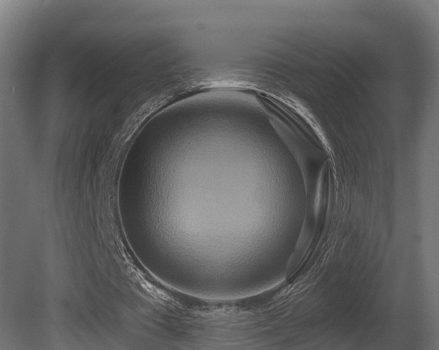 X0000081420385200701121241