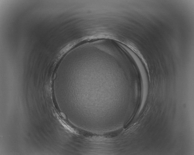 X0000081420389200701121241