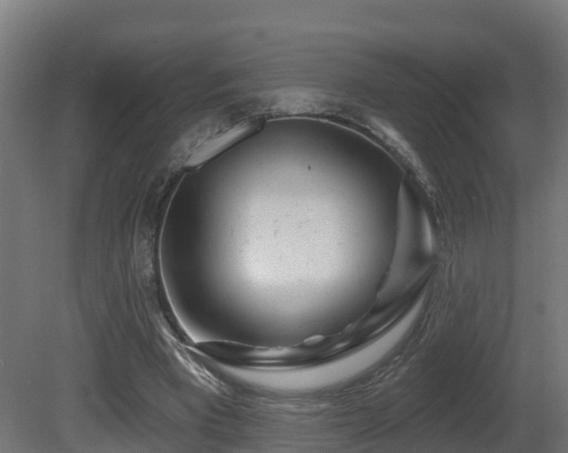 X0000081420393200701121241
