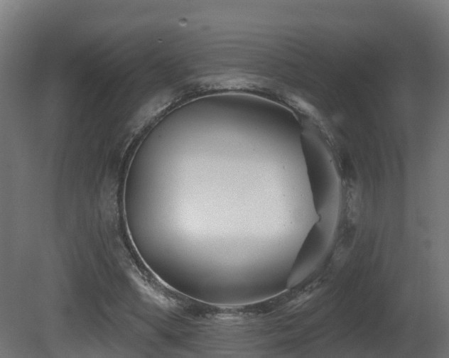 X0000081420394200701121241