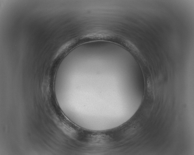 X0000081420396200701121241