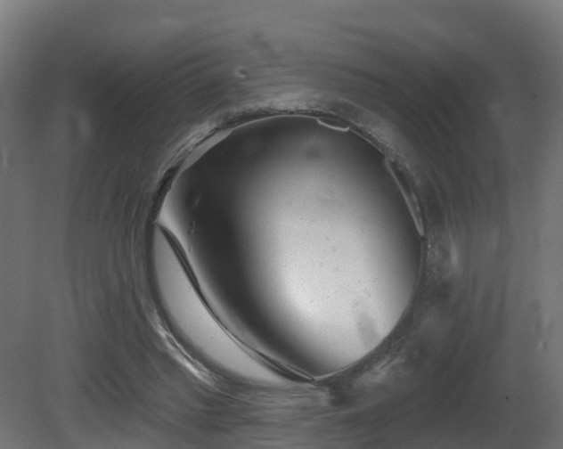 X0000081420397200701121241