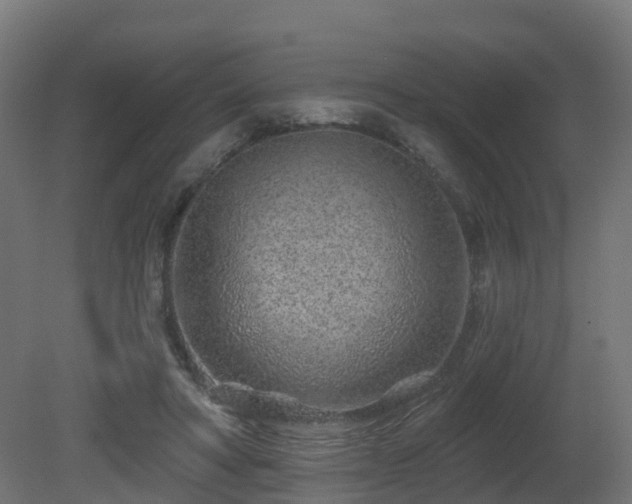 X0000081420402200701121241