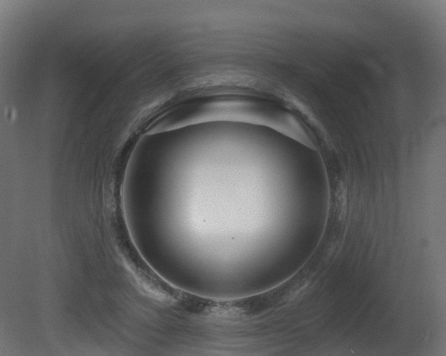 X0000081420403200701121241