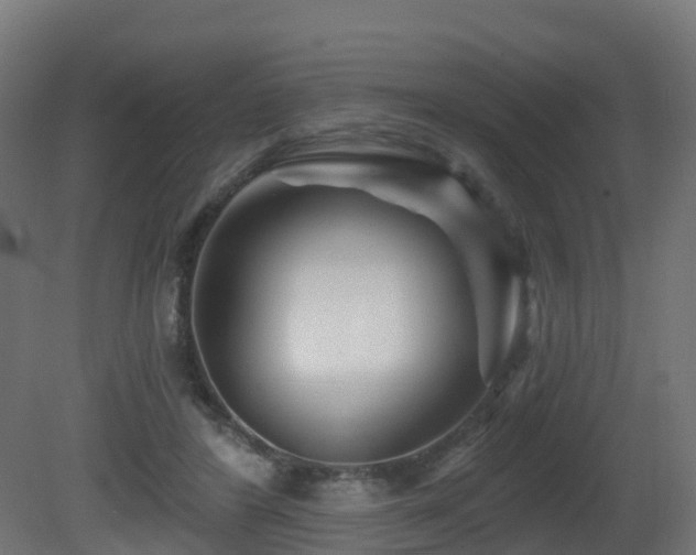 X0000081420404200701121241
