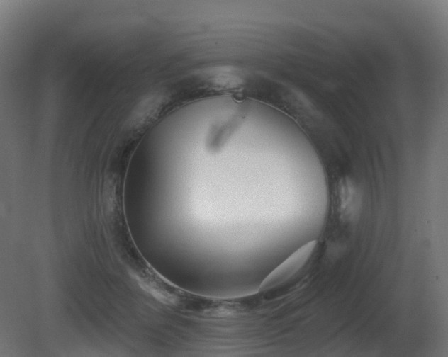 X0000081420412200701121241