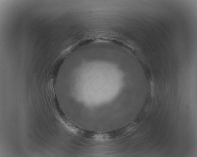 X0000081420415200701121241