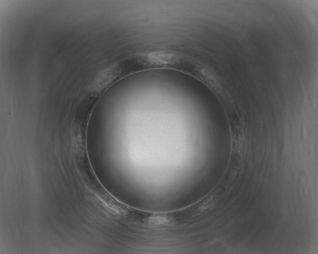 X0000081420418200701121241