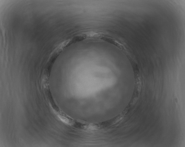 X0000081420419200701121241