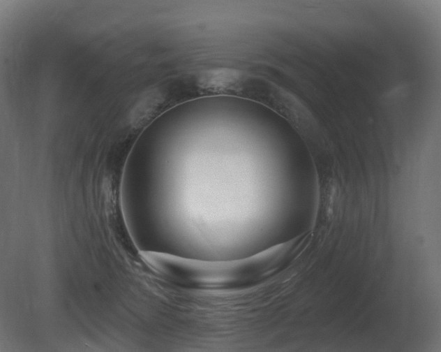 X0000081420420200701121241
