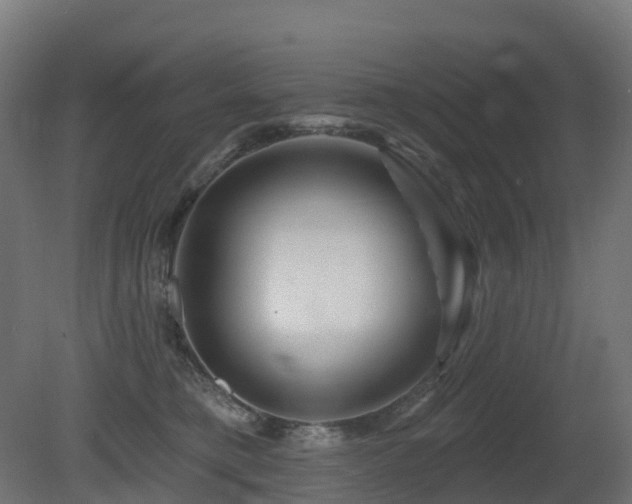 X0000081420421200701121241