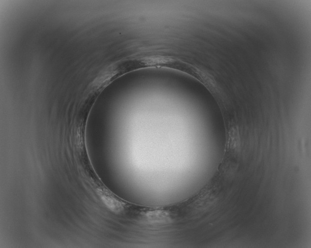X0000081420426200701121241