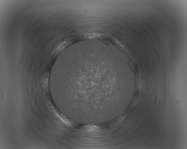 X0000081420427200701121241