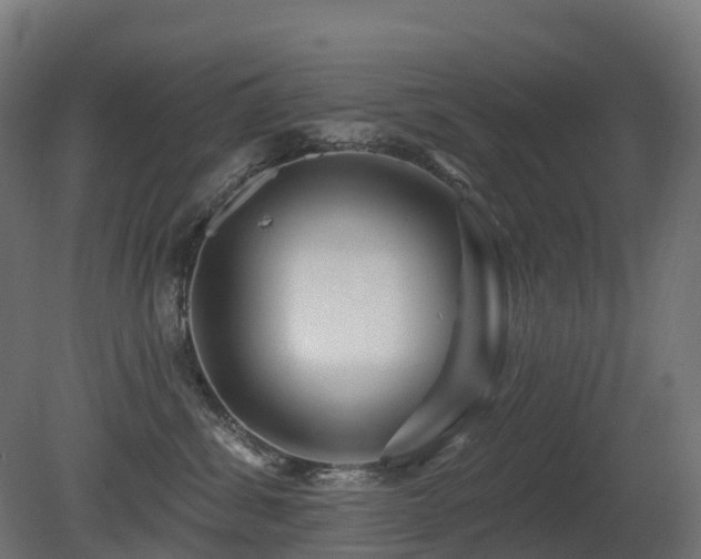 X0000081420428200701121241