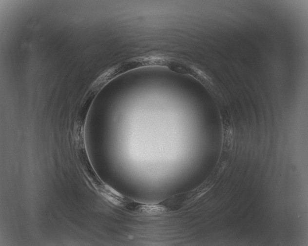 X0000081420429200701121240