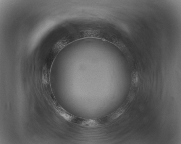 X0000081420431200701121240