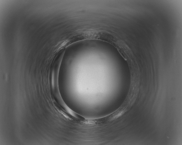 X0000081420432200701121240