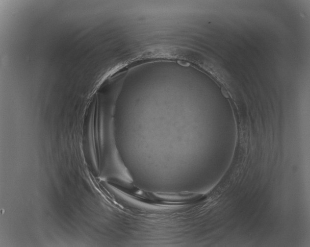 X0000081420434200701121240