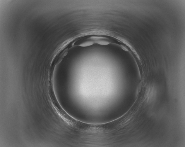X0000081420437200701121240