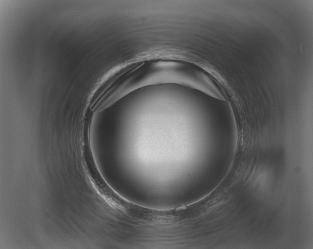 X0000081420438200701121240