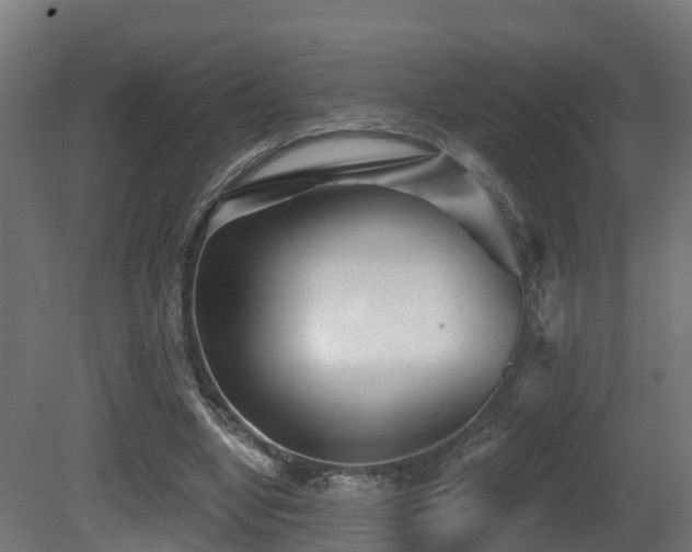 X0000081420442200701121240