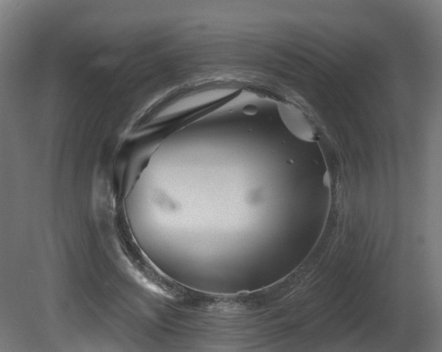 X0000081420444200701121240